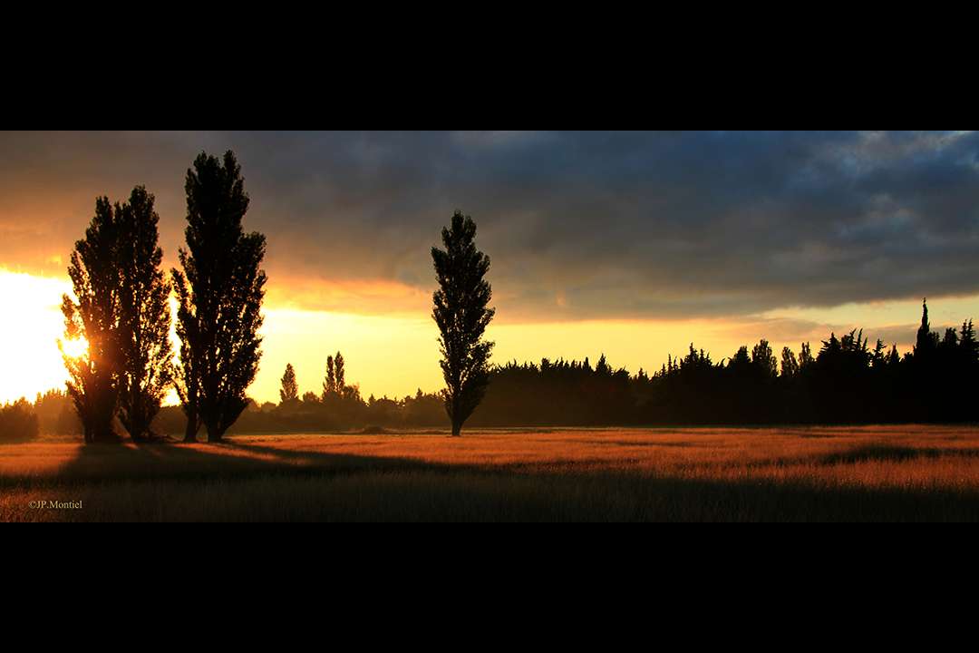 Paysage Paysage